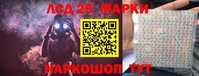 стаф Можга