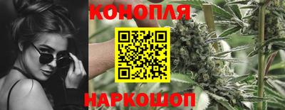 стаф Можга